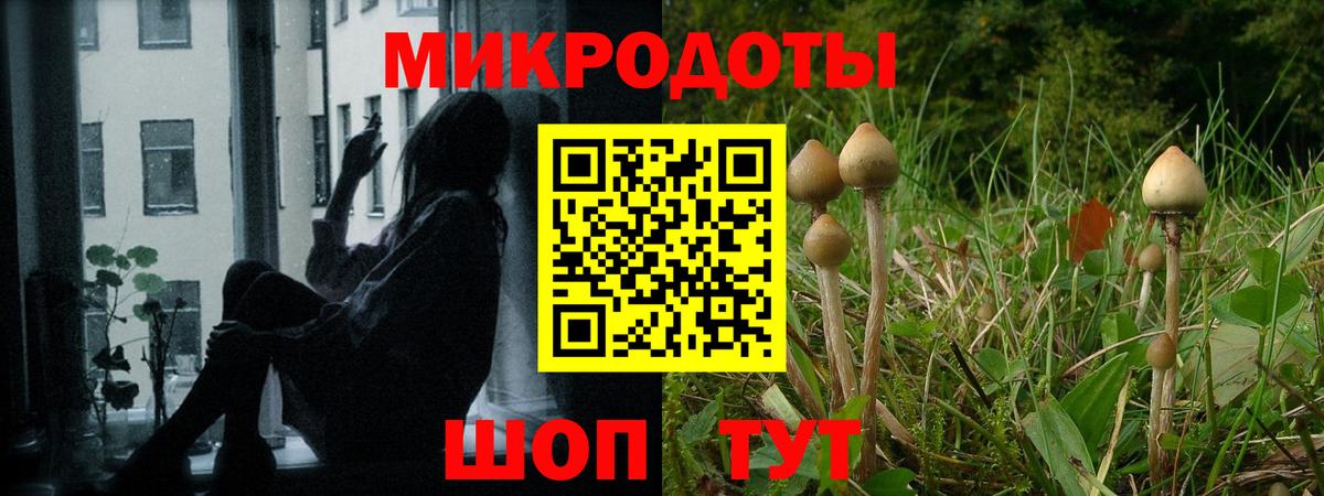 Соль-Илецк  как найти наркотики  Вход с VPN  Галлюциногенные грибы Psilocybine cubensis 